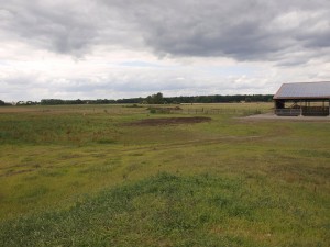 Blick auf unsere beiden Bühnen (links von der Halle). Sieht nicht ganz so weitläufig aus wie in Realität, aber ist übertrieben viel Platz.