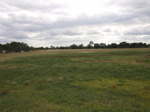 Blick vom Bühnenareal auf den Zeltplatz.